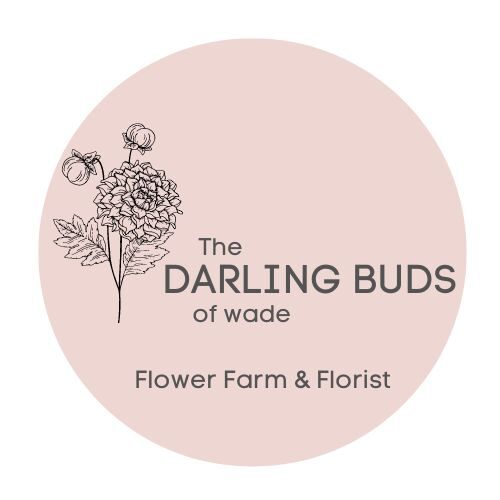 The Darling Buds of Wade