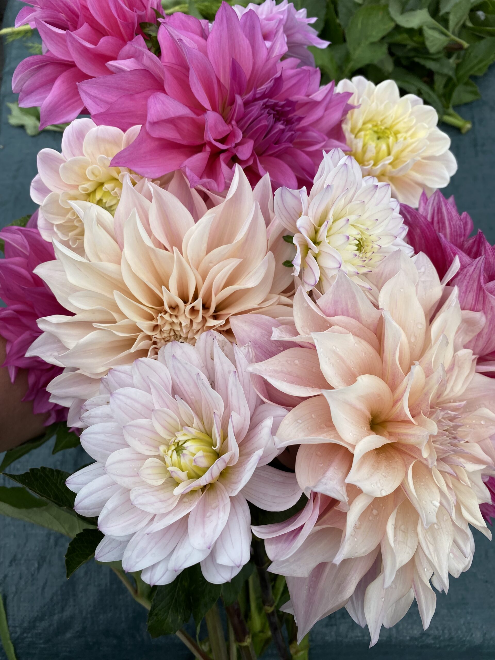 Flower Subscription