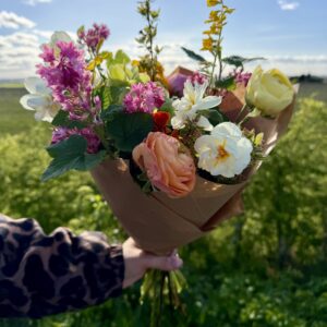 Small Seasonal Hand-tied Bouquet Collection only